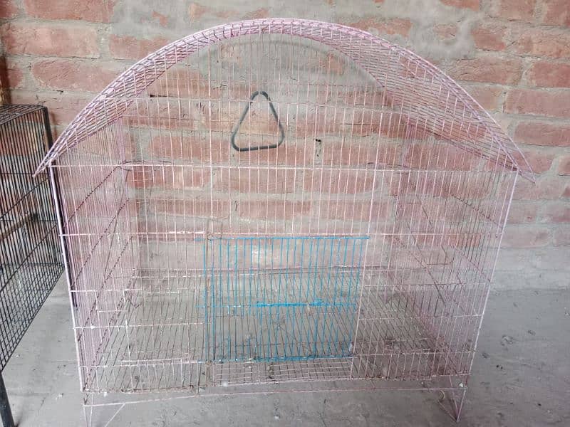 birds cage 1