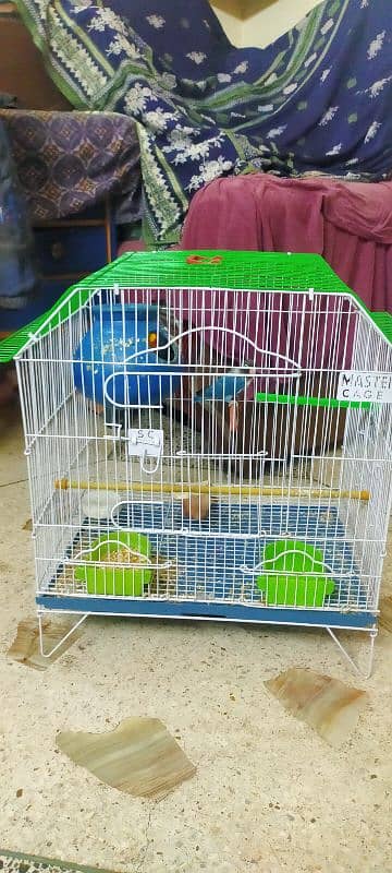 cocktail pair + cage and lotino pair + cage 0