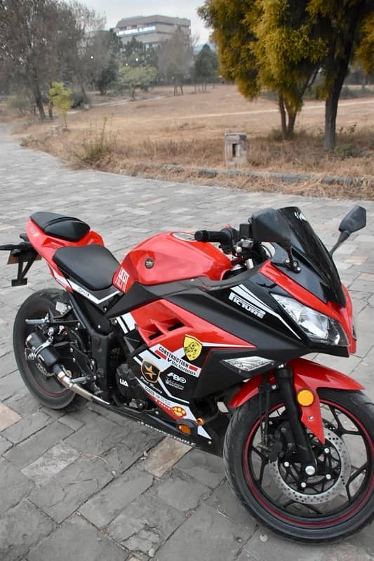 Kawasaki ninja replica 250 18