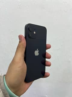 iphone 12 non PTA jv  (black)                          11 13 14 15 16