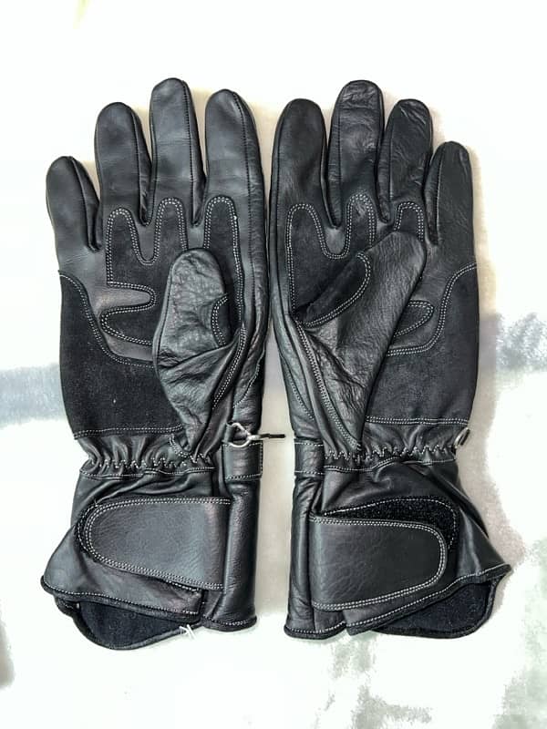 RIDING GLOVES 1