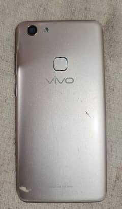 vivo