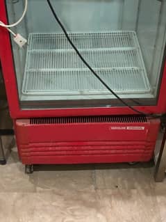 Jumbo Size Coke Chiller