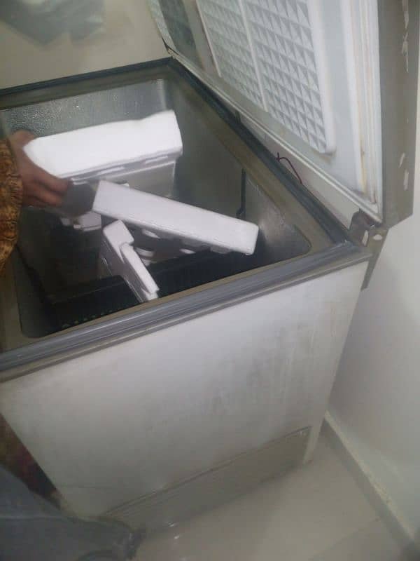 single Door Freezer 2