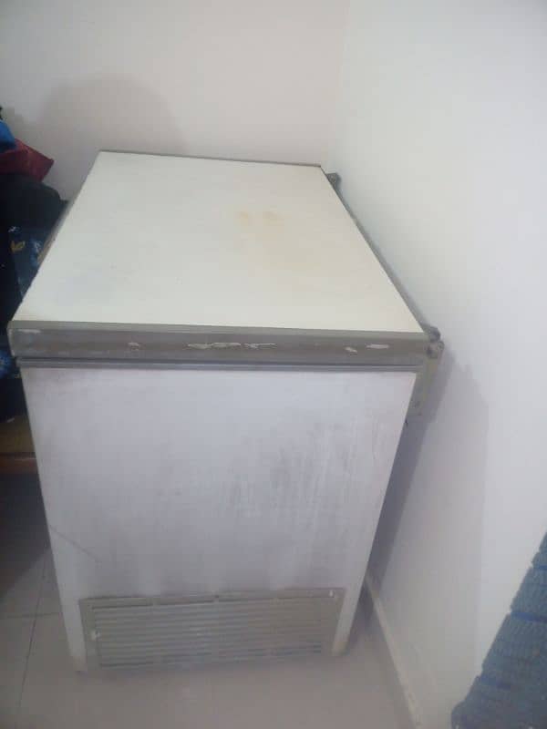 single Door Freezer 8