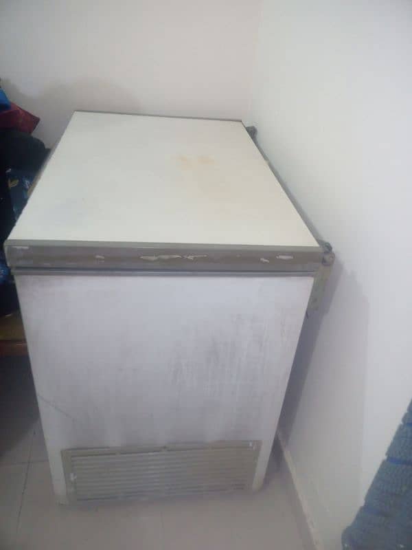 single Door Freezer 10