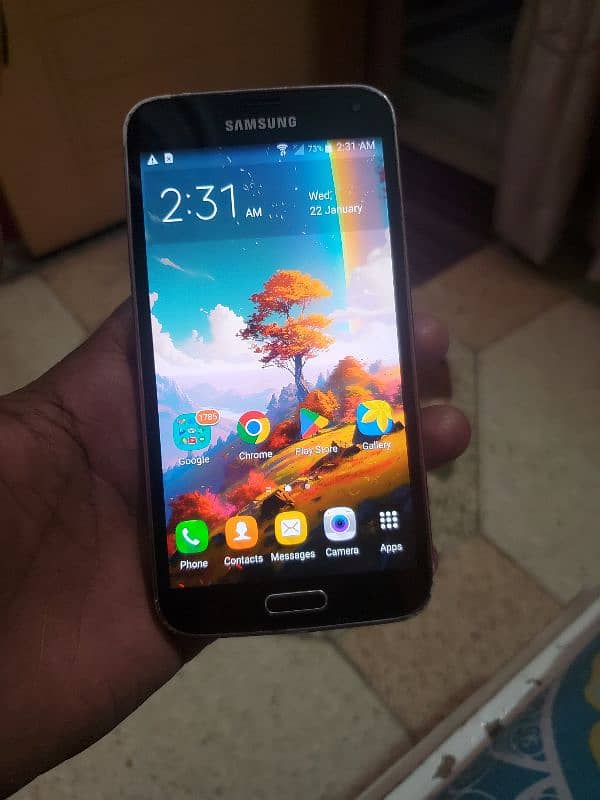 Samsung s5 0