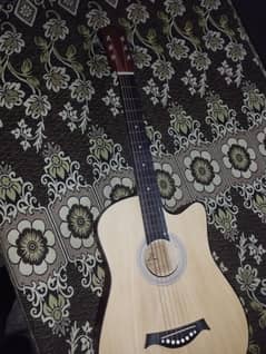 Acoustic Guitar