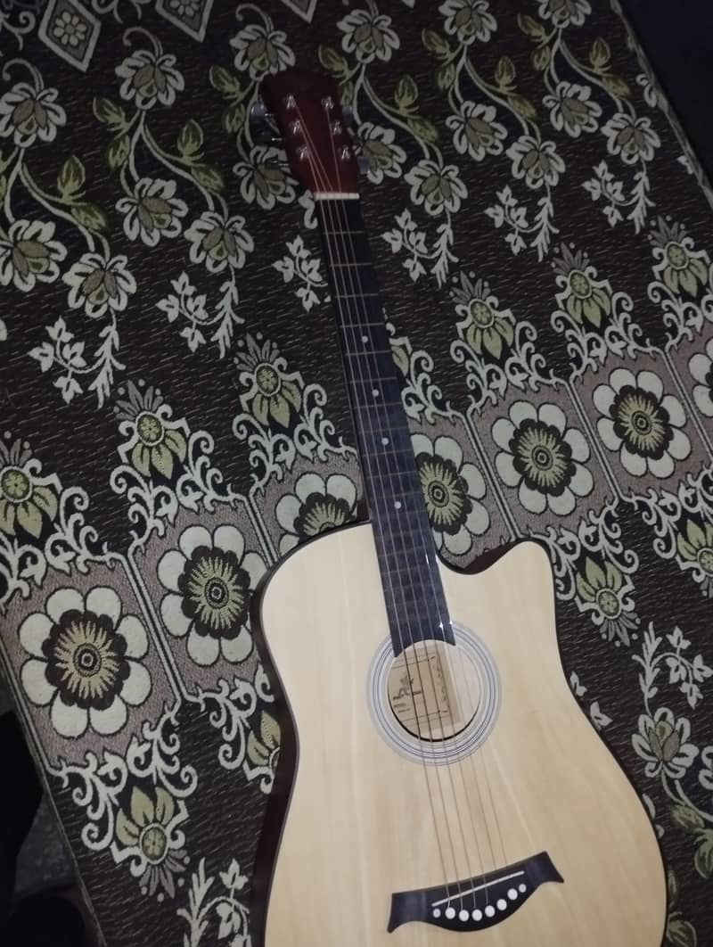 Acoustic Guitar 0