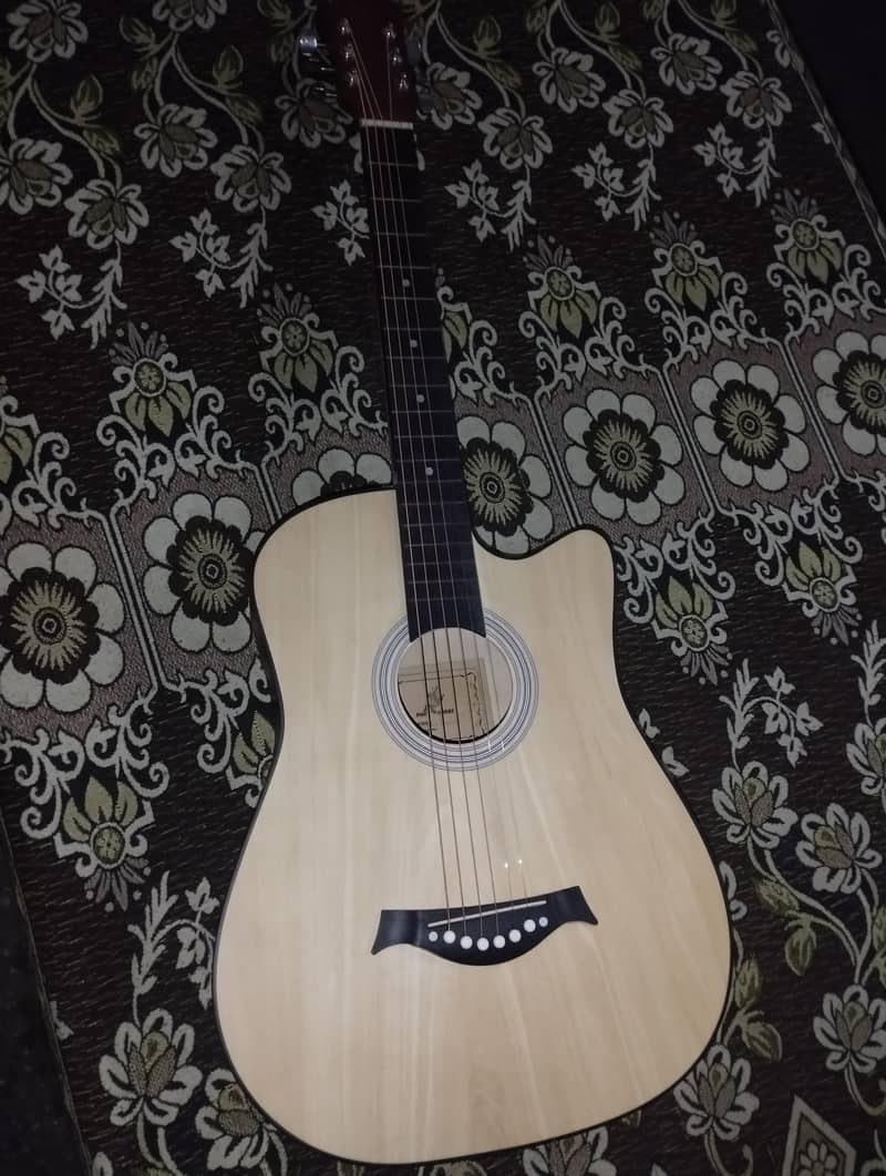 Acoustic Guitar 1