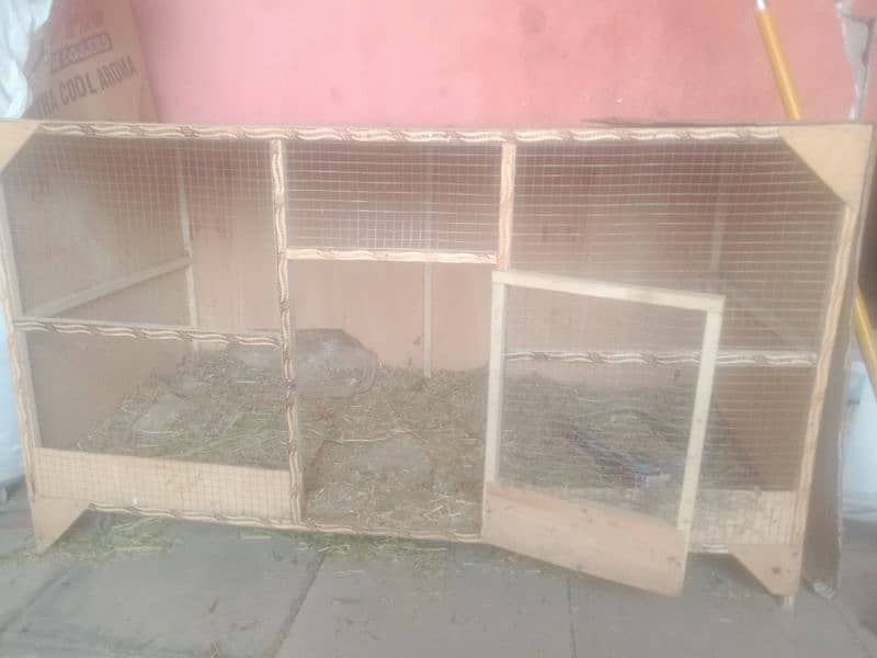 2 Desi Hens Eag Laying for Sale 4