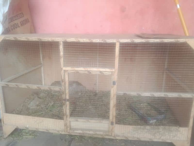 2 Desi Hens Eag Laying for Sale 5