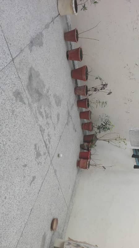 6 Marla Double Storey House In Rehmanpura Lahore 13