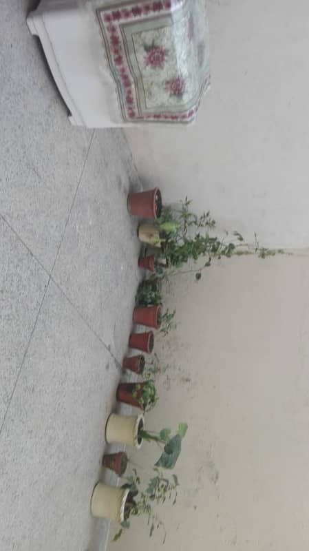 6 Marla Double Storey House In Rehmanpura Lahore 17