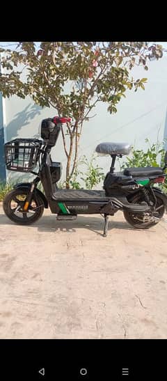 e bike