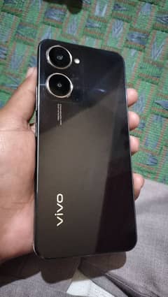 Vivo