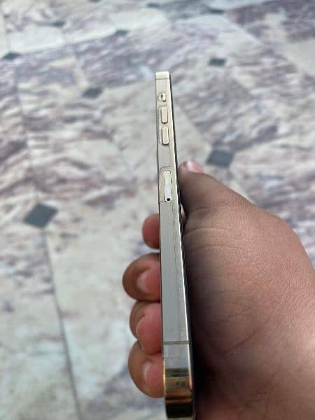 Iphone 12 Promax 256GB 2