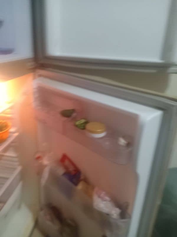 pel Refrigerator 3