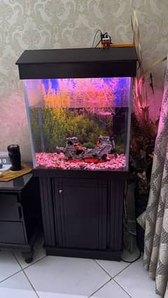 Fish Aquarium 2 feet