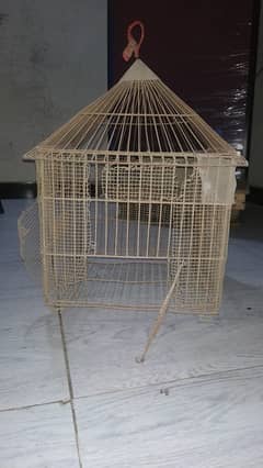 Parrot cage