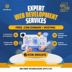 Professional web development services ,WordPress services