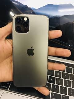 iPhone 12 Pro ( Lush )