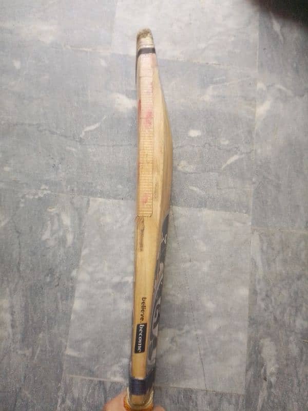 hard ball bat 1