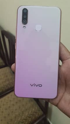 vivo