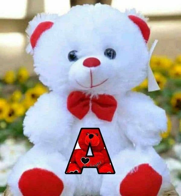 Teddy Bear For Valentine's Day Gifts, Birthday Gifts, Marriage Gifts 3