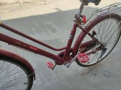 Japani cycle hai. Dubai sy import Karwa ta.