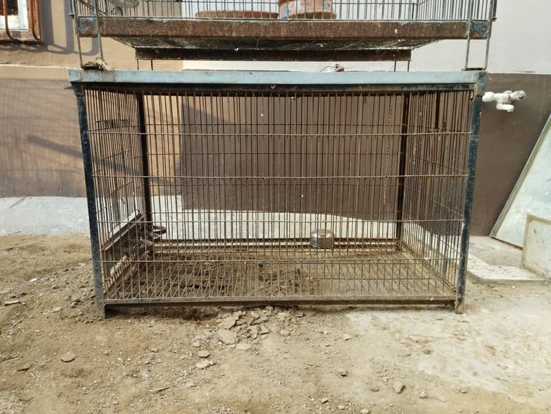 Folding Cages for Sale 2