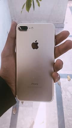 7 plus pta approved