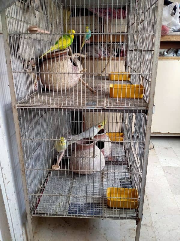 Birds cage for sale 1