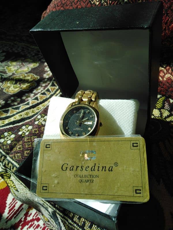 Garsedina Collection Quartz. . . Beautiful Men's Watch 2