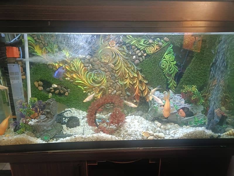 Urgent selling 4 Feet 3D design Acquiream with 14 Fishes 4