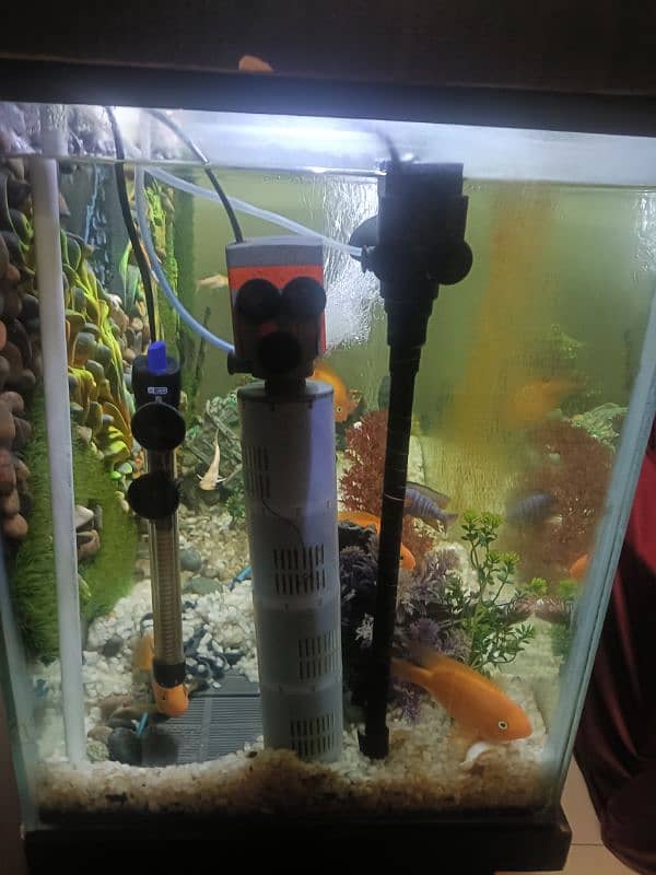 Urgent selling 4 Feet 3D design Acquiream with 14 Fishes 7