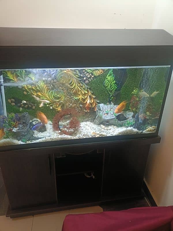 Urgent selling 4 Feet 3D design Acquiream with 14 Fishes 8