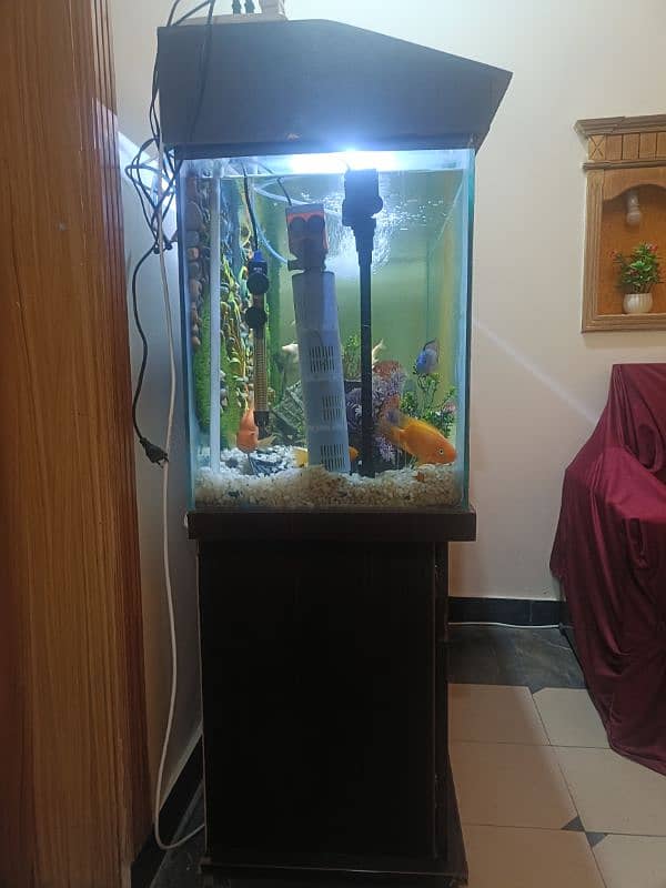 Urgent selling 4 Feet 3D design Acquiream with 14 Fishes 9