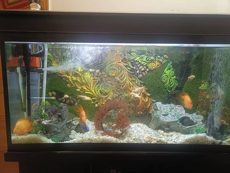 Urgent selling 4 Feet 3D design Acquiream with 14 Fishes 10