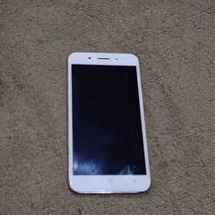 vivo y53 for sale