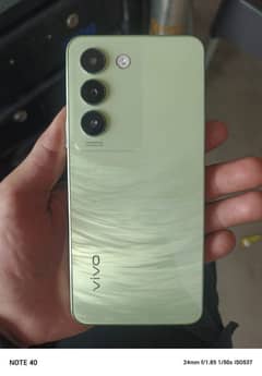 vivo