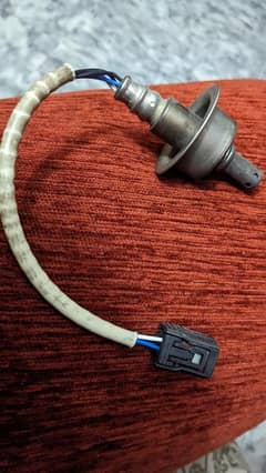 civic reborn guinine oxygen sensor