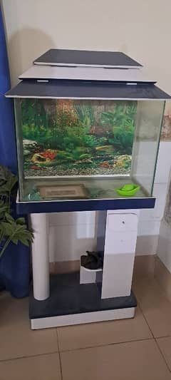 Fish tank