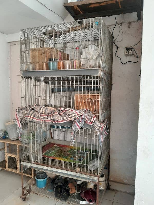 3 level Cage with drainage system 1