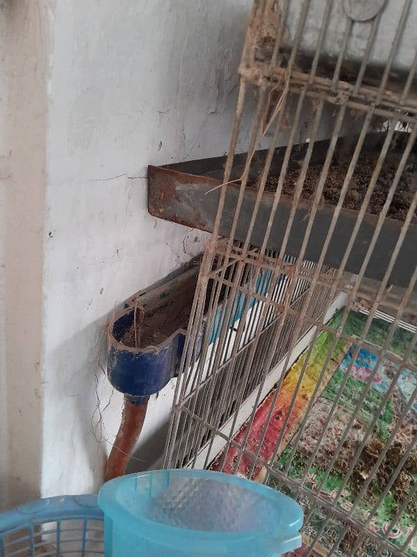 3 level Cage with drainage system 2