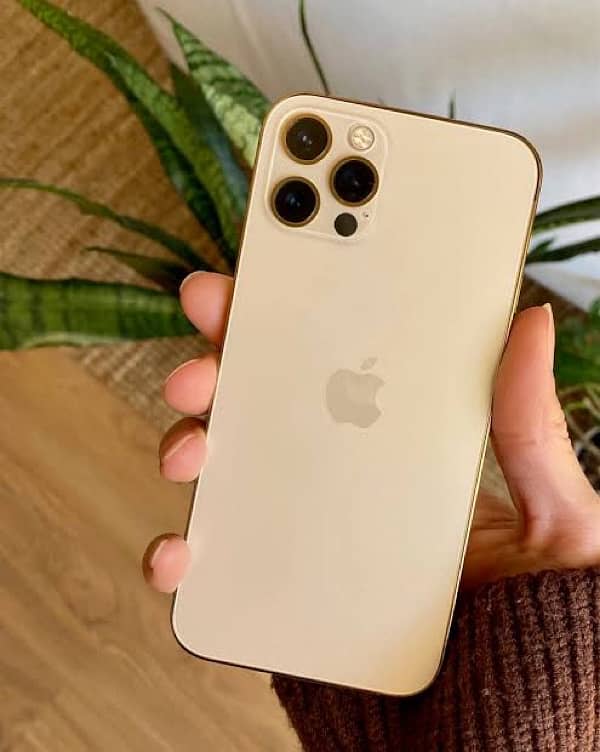 Iphone 12 pro max PTA Approve Gold 1