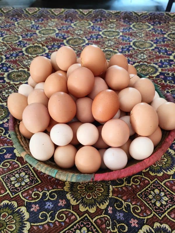 Desi eggs Lohmann Brown  available – just Rs. 450 per dozen 0