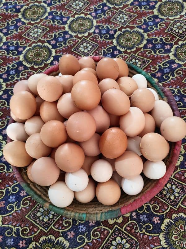 Desi eggs Lohmann Brown  available – just Rs. 450 per dozen 1