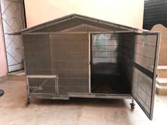 Amazing Dog House