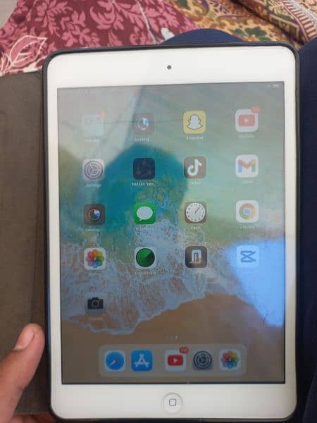 ipad mini 2 1